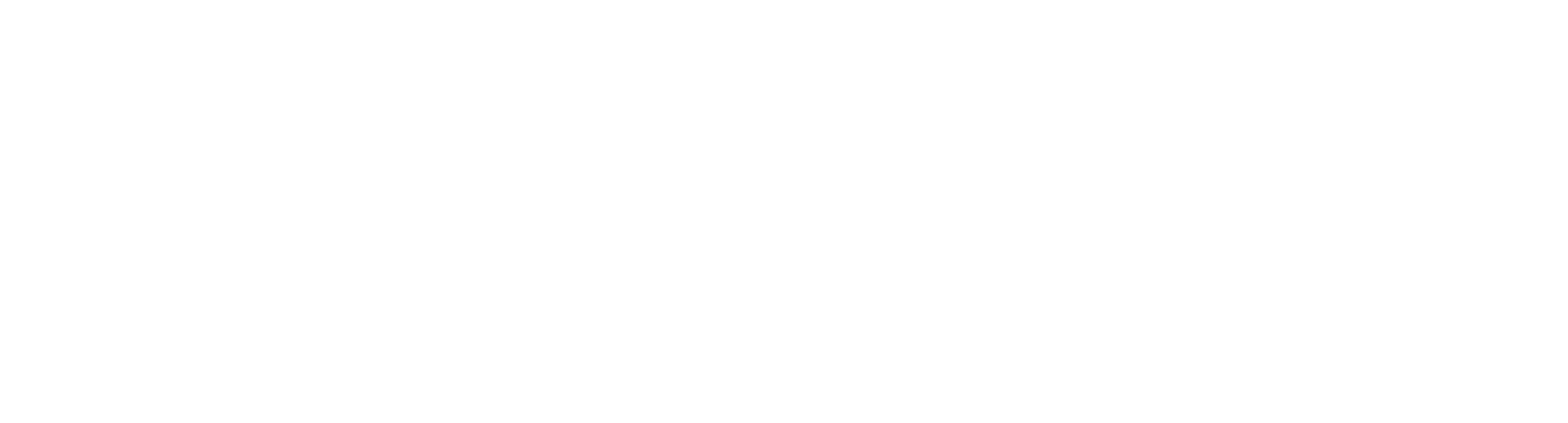 Stellar Venture Group